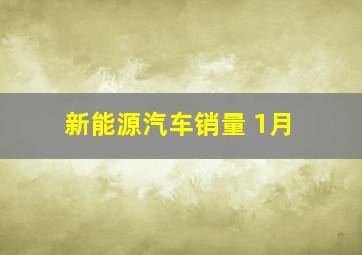 新能源汽车销量 1月